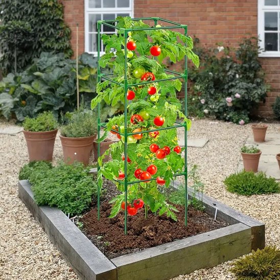 Tuteur tomate