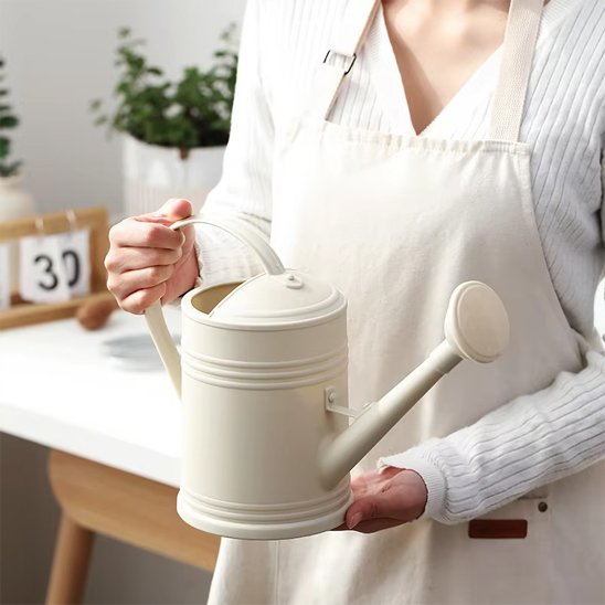 Arrosoir d'intérieur​