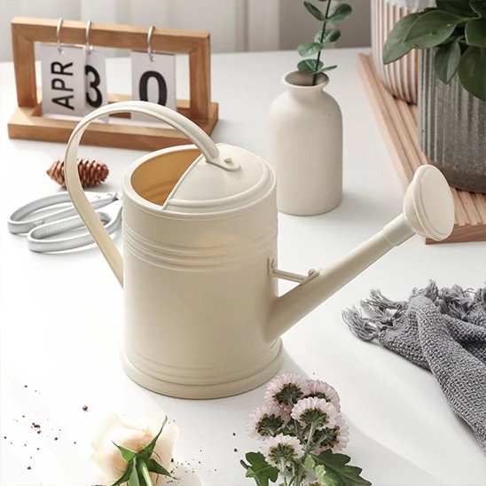 Arrosoir d'intérieur​