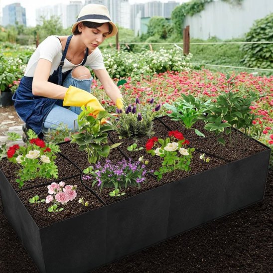 Carré potager