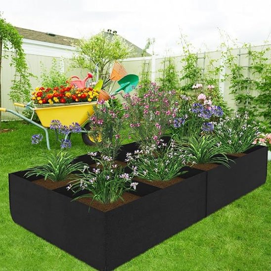 Carré potager