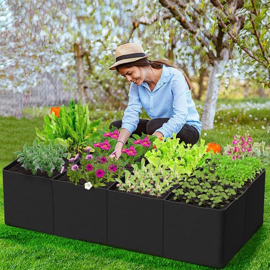 Carré potager