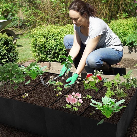 Carré potager