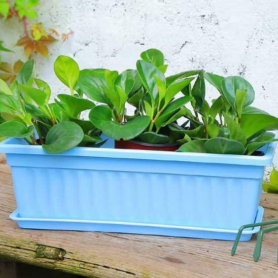 Jardiniere balcon 