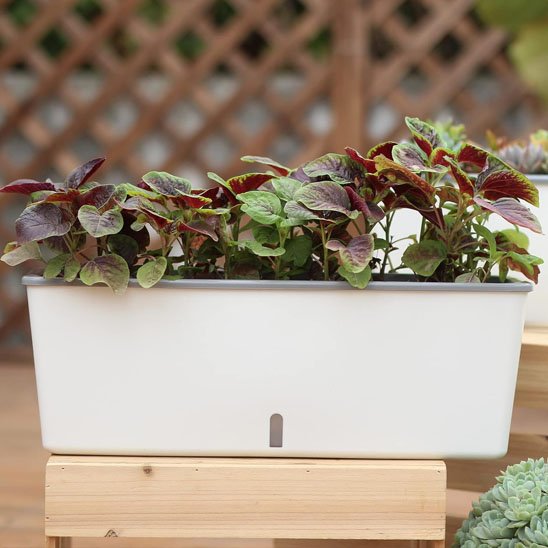 Jardiniere