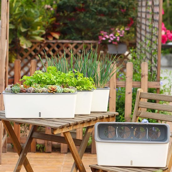 Jardiniere