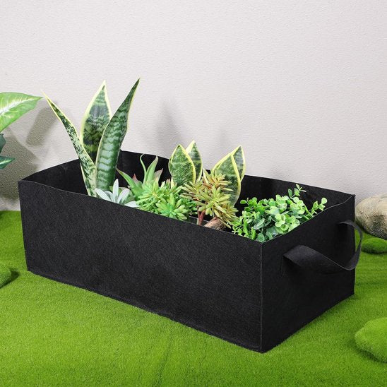 Jardinière 