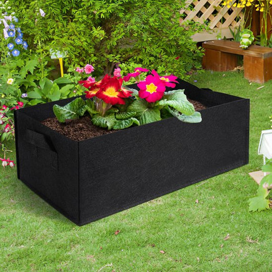 Jardinière 