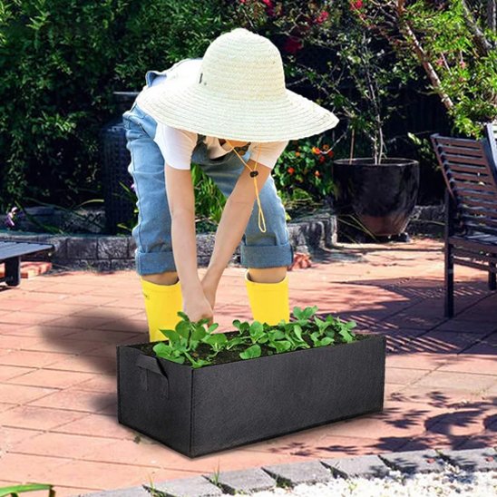 Jardinière 
