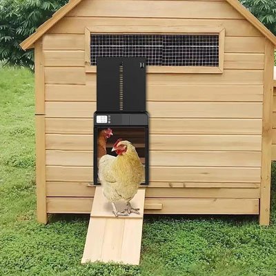 Porte automatique poulailler 