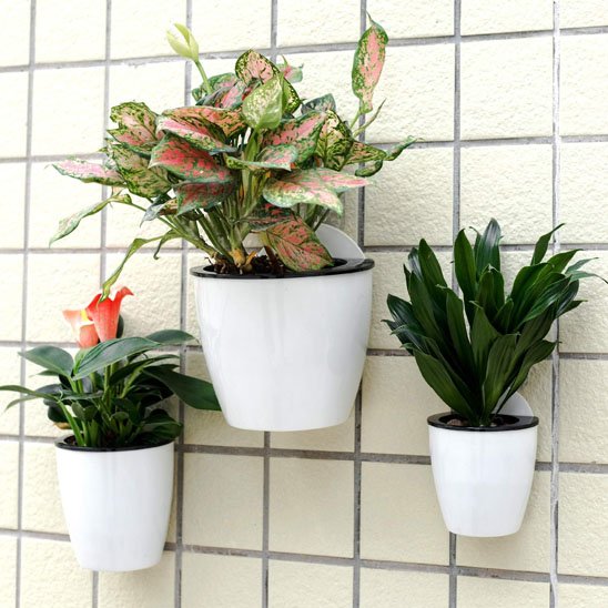 Pot de fleur mural