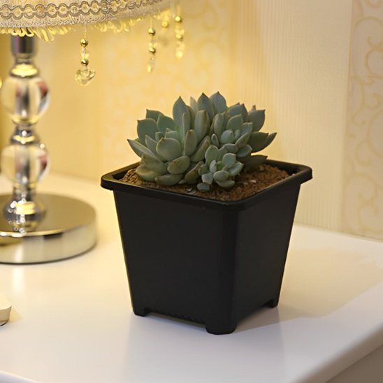 pot de fleur