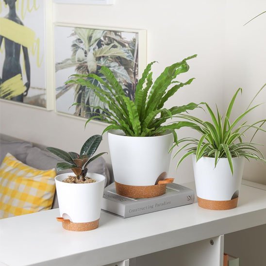 Pot de fleur