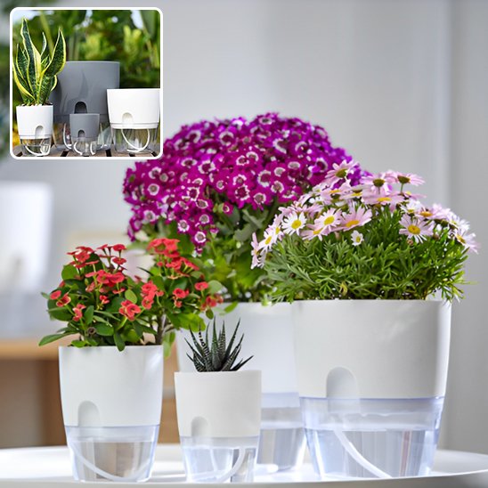 pot de fleur