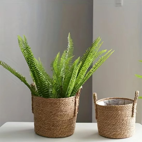 Pot de fleur 