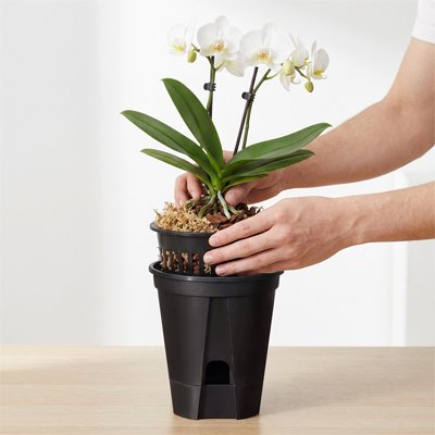 Pot de fleur 