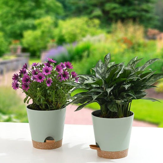 Pot de fleur