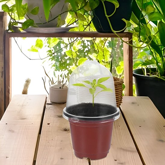 Pot de fleur