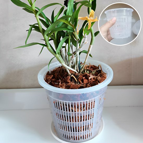 pot de fleur