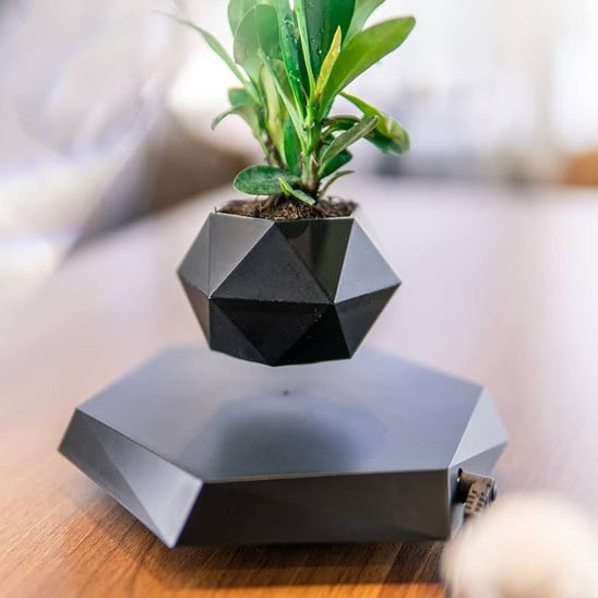 Pot de fleur 