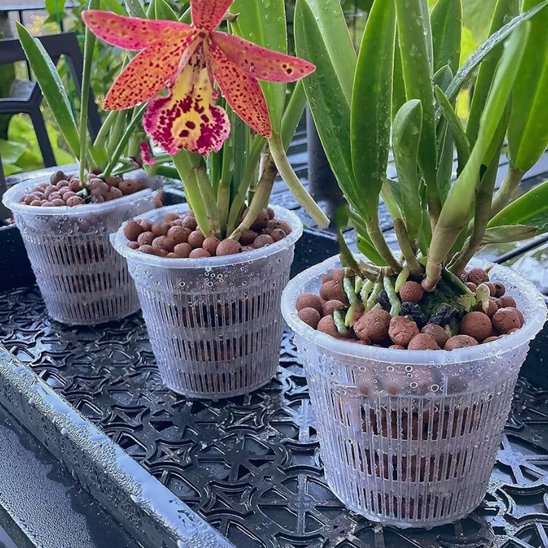 pot de fleur