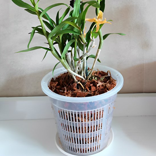 pot de fleur