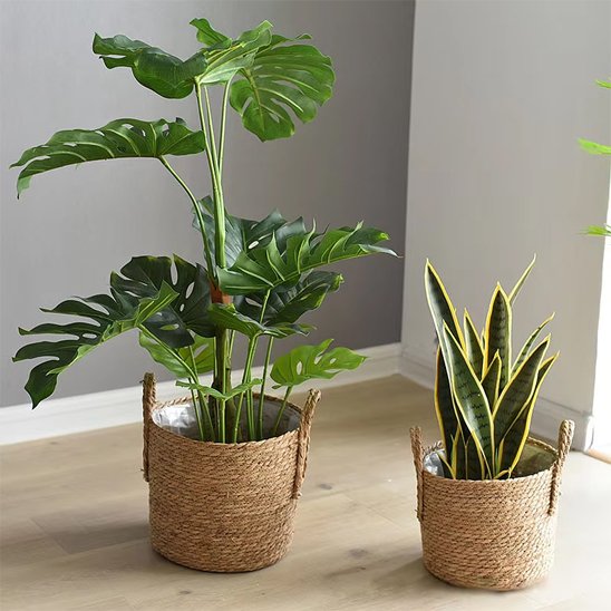 Pot de fleur 