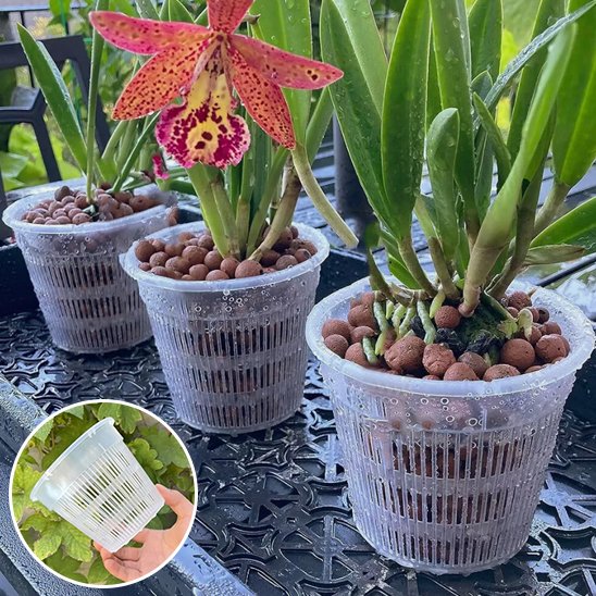 pot de fleur