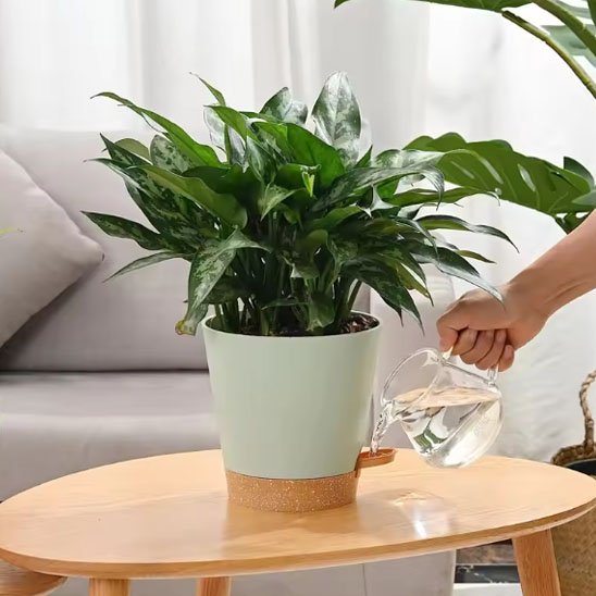 Pot de fleur