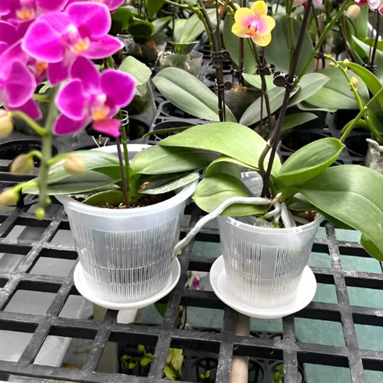 pot de fleur