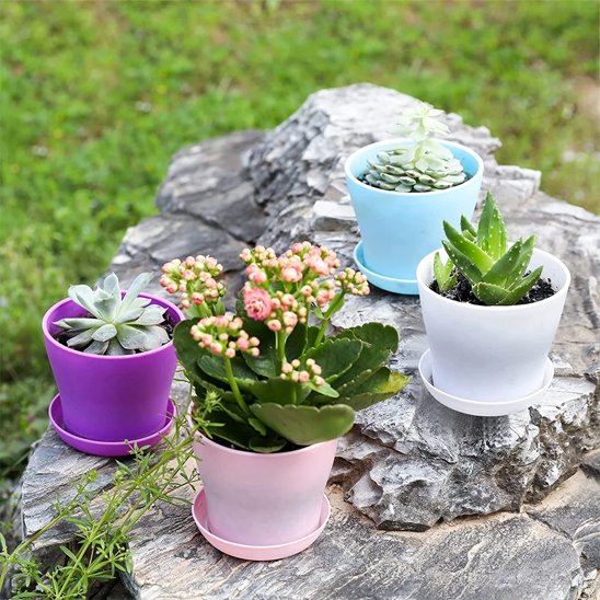 Pot de fleur 
