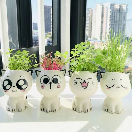 Pots de fleurs