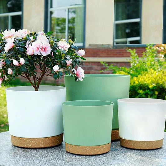 Pots de fleurs
