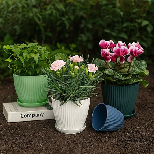 Pots de fleurs