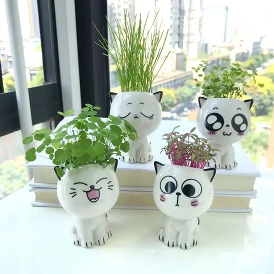 Pots de fleurs