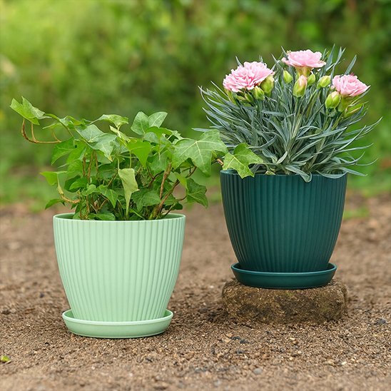 Pots de fleurs