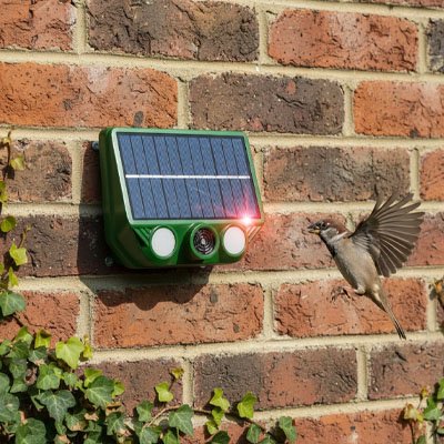 Répulsif à oiseaux
