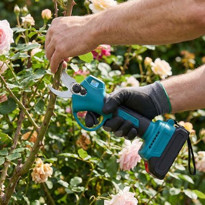 Secateur electrique 