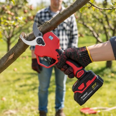 Secateur electrique 