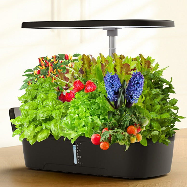 Indoor Hydroponic Planting Machine